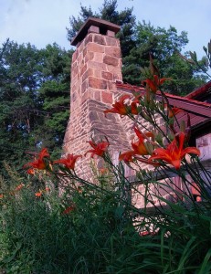 Daylilies near the Chimney